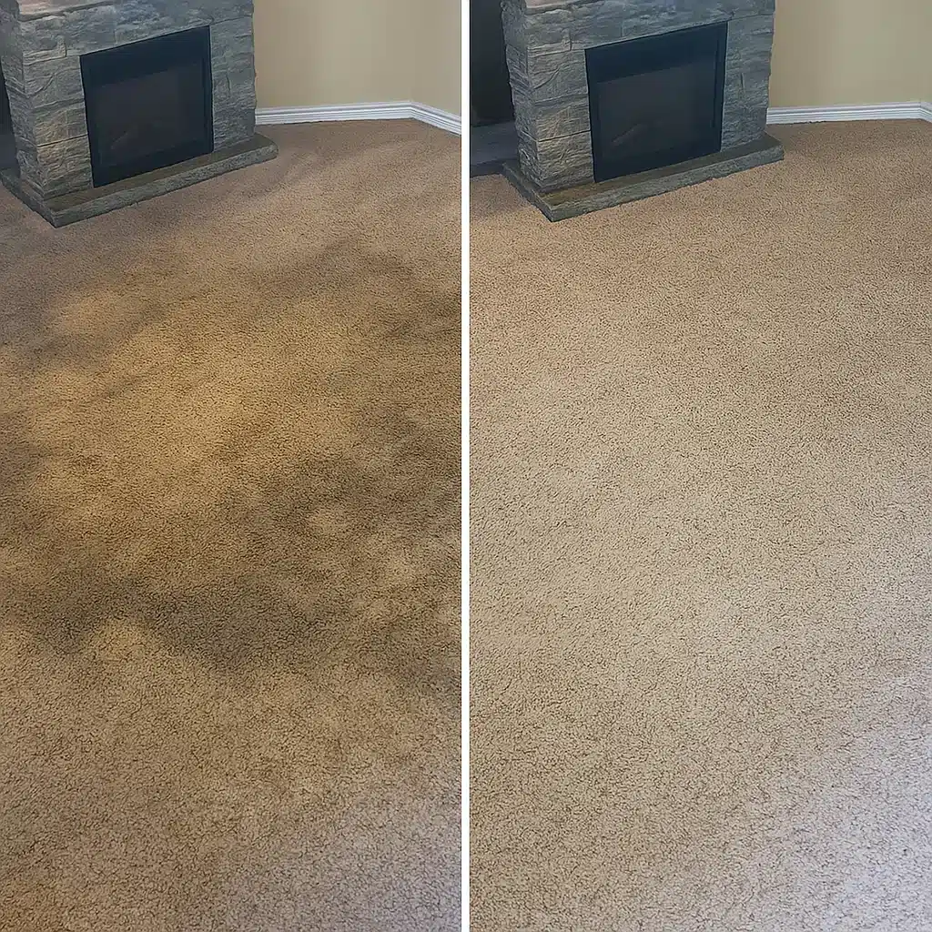 Before and after same day carpet cleaning in a NYC living room with traffic lanes removed