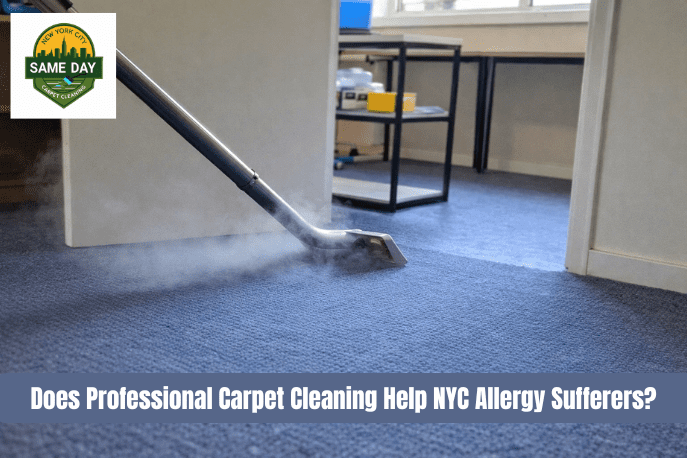 Does Professional Carpet Cleaning Help NYC Allergy Sufferers