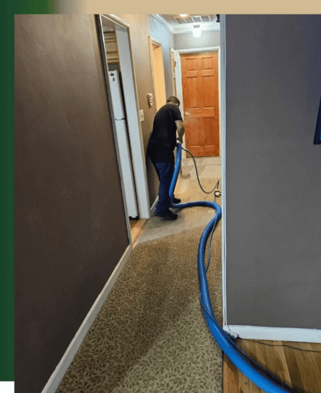resident carpet cleaning 2